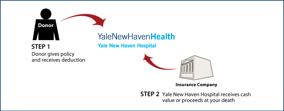 Life Insurance Policy Thumbnail
